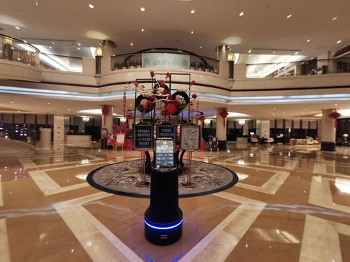 優(yōu)智達(dá)酒店智能服務(wù)機(jī)器人 引領(lǐng)酒店服務(wù)智能化變革的新引擎